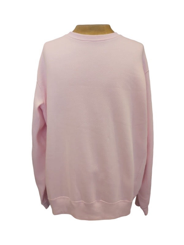 Helmut Lang Pink Sweatshirt